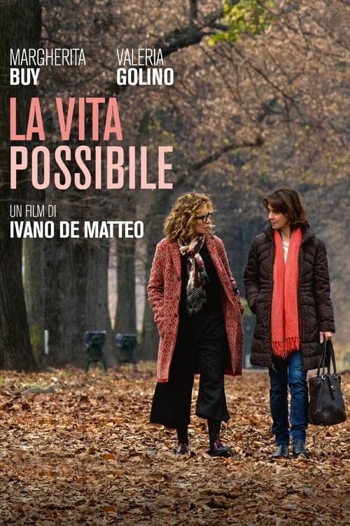 La vita possibile (2016) poster