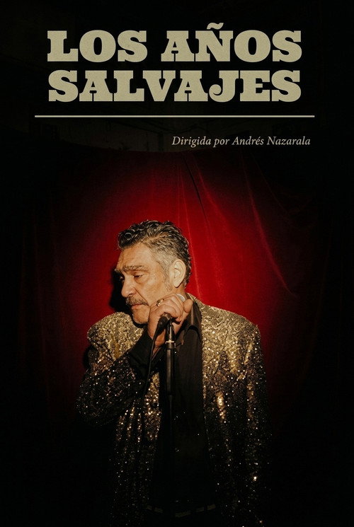 The Wild Years poster