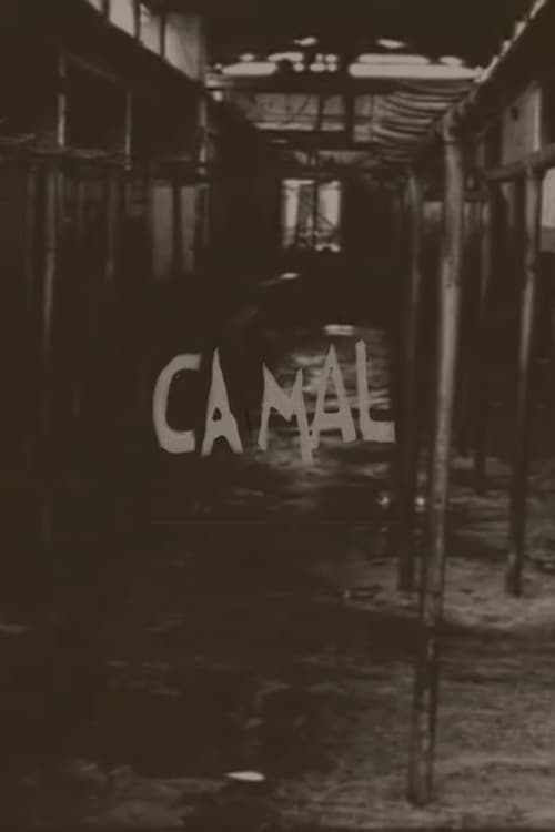 Camal (2001) poster