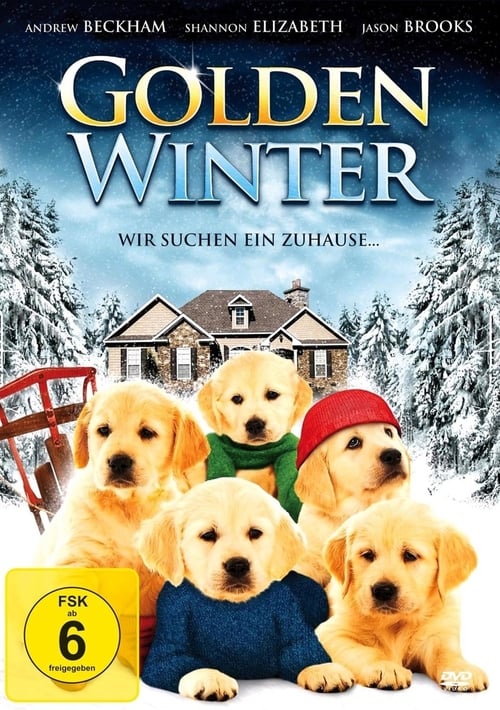 Golden Winter poster