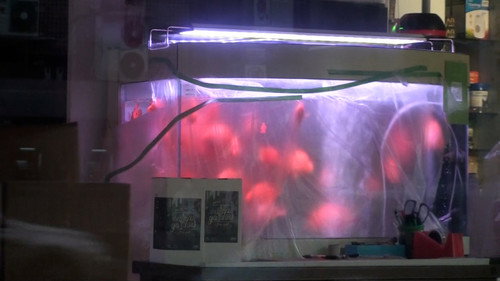 Rainy day, on the way back home after skipping class