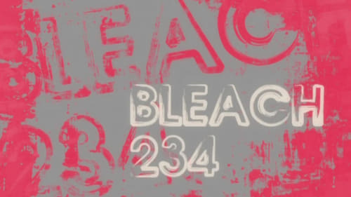 Poster della serie Bleach