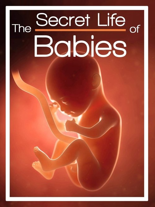 The Secret Life of Babies movie poster player