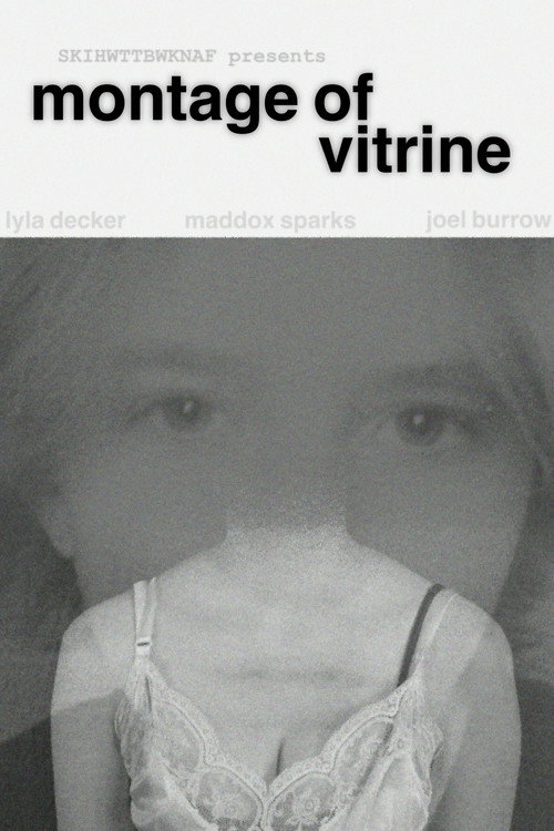Montage of Vitrine