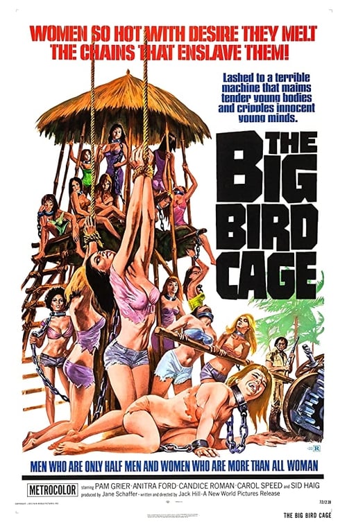 Where to stream The Big Bird Cage