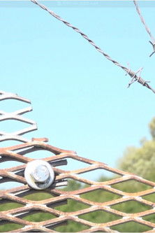 Between Borders poster