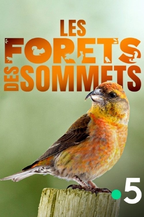 Les forêts des sommets (2017)