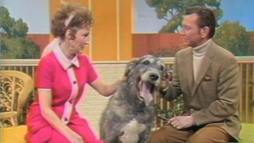 Image de l'épisode 11