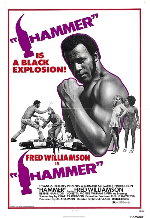 Hammer