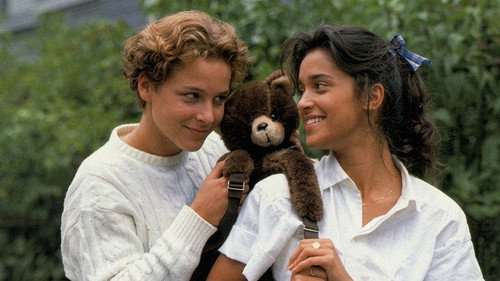 A Summer in a Sea Shell 2