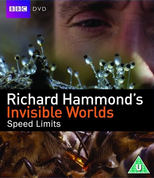 Richard Hammond's Invisible Worlds: Speed Limits Online