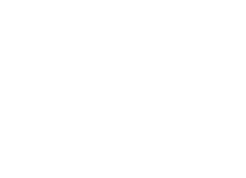 Shoot 'Em Up