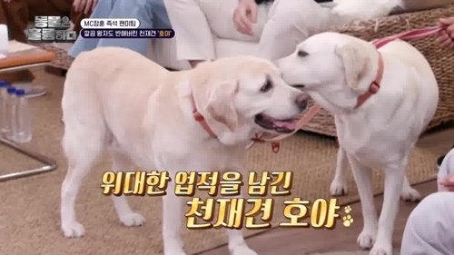 Image de l'épisode 2