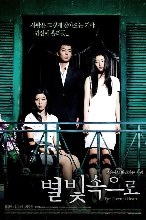 Poster 별빛 속으로 2007