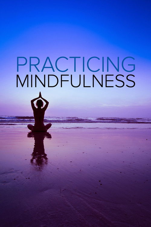 Practicing Mindfulness: An Introduction to Meditation (2010) poster