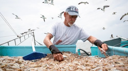 Last of the Shrimpers image 4