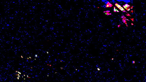Gaze in the State of Confusion still