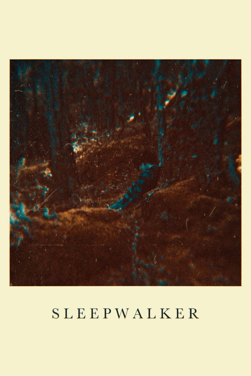 Sleepwalker official movie poster