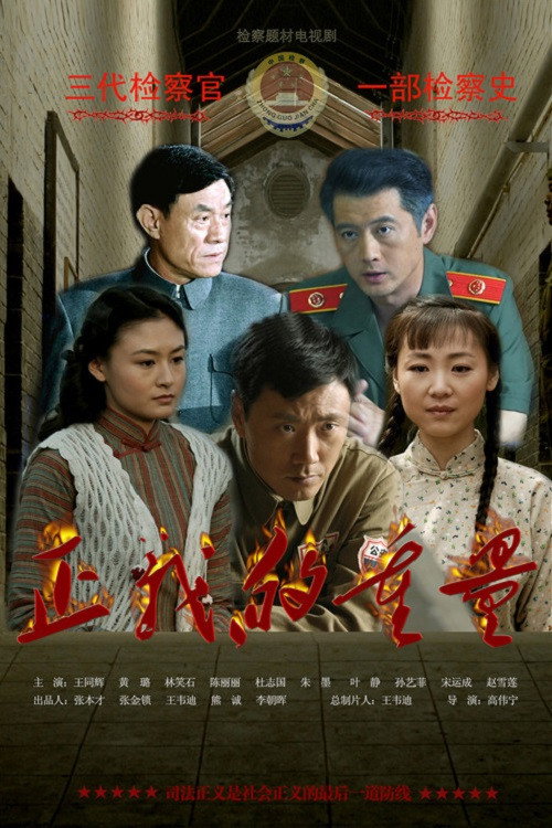 正义的重量 - 国产剧 (2013) 海报