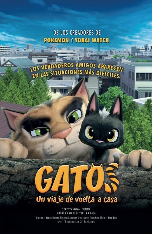 Gatos. Un viaje de vuelta a casa 2016