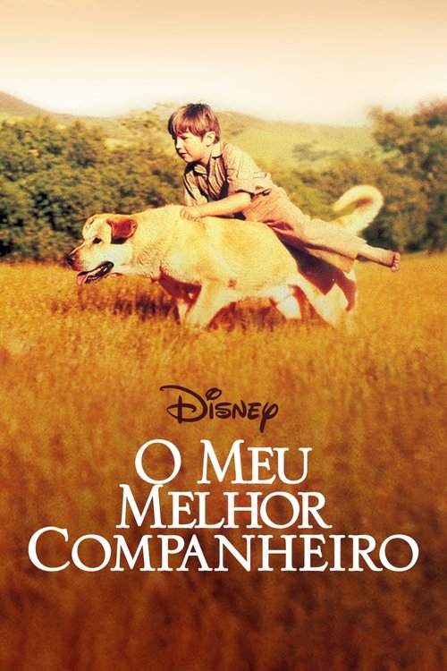 Pôster de O Meu Melhor Companheiro