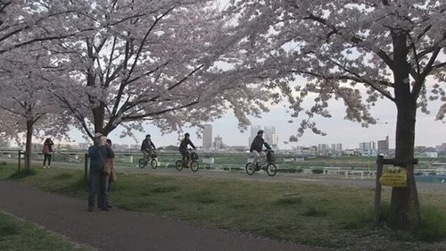 Épisode 16