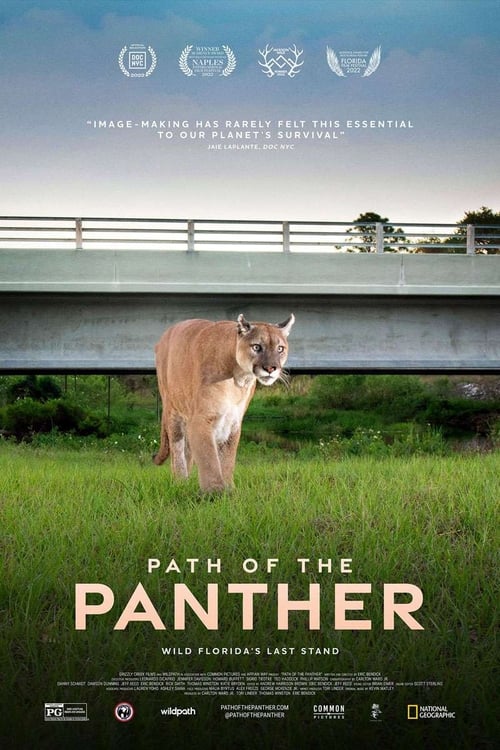 Path of the Panther poster