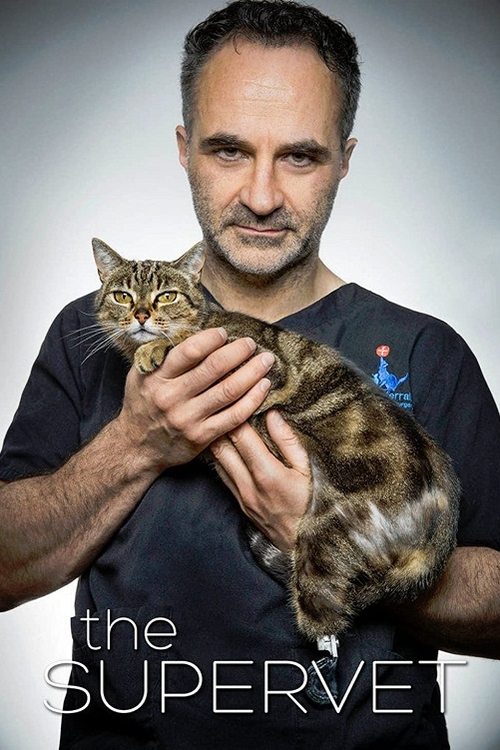 Where to stream The Supervet: Noel Fitzpatrick Season 1