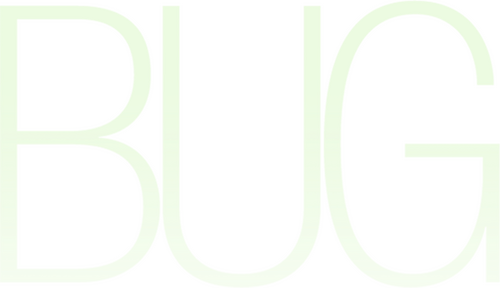 Bug