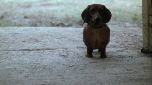 Image du film