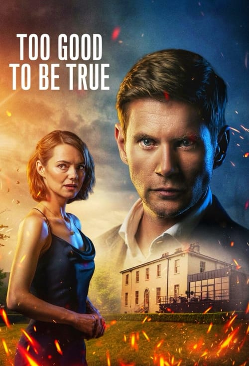 Too Good to Be True tv show poster