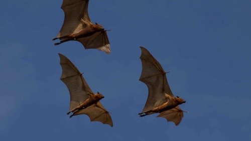 Image de l'épisode 3