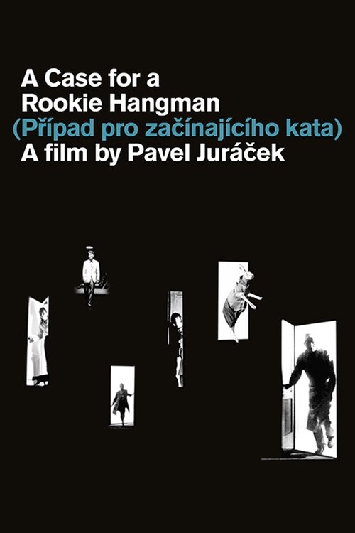 A Case for a Rookie Hangman poster