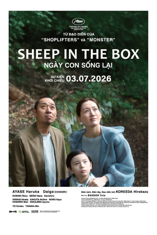 Sheep In The Box