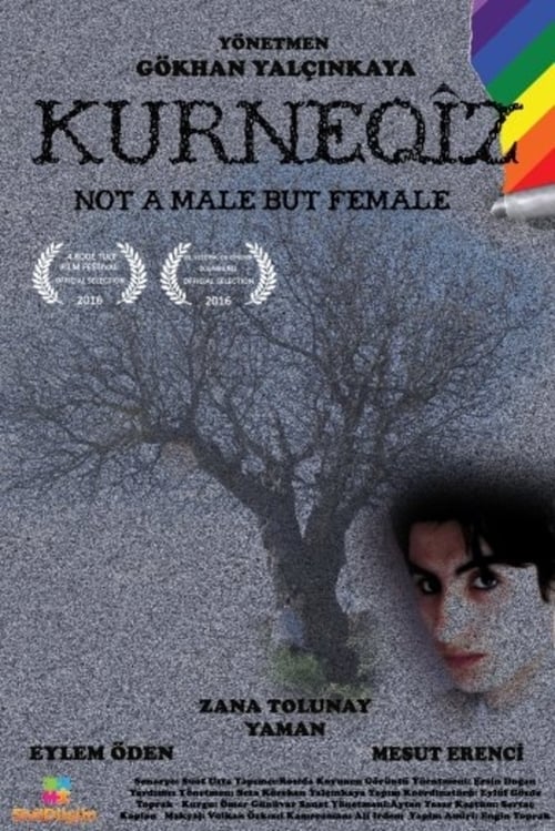 Not a Male but Female Movie Poster Image