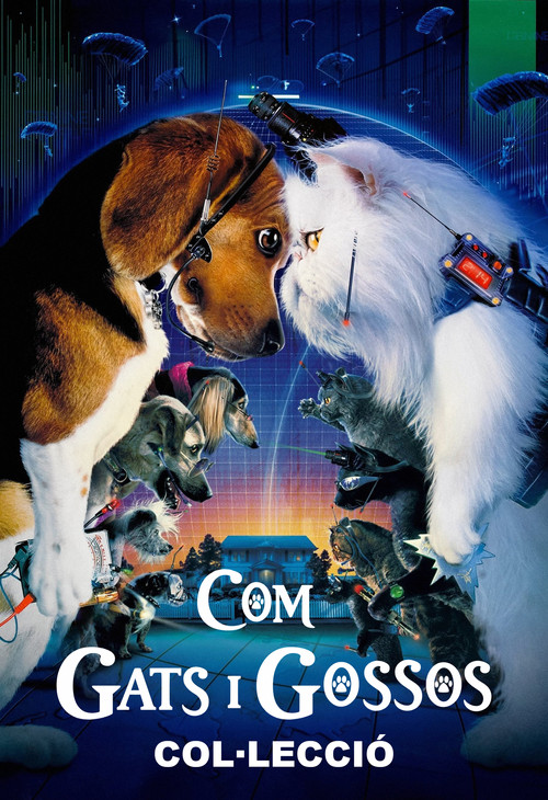 Pòster de Com gats i gossos - Col·lecció