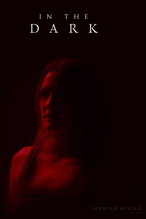 In the Dark poster
