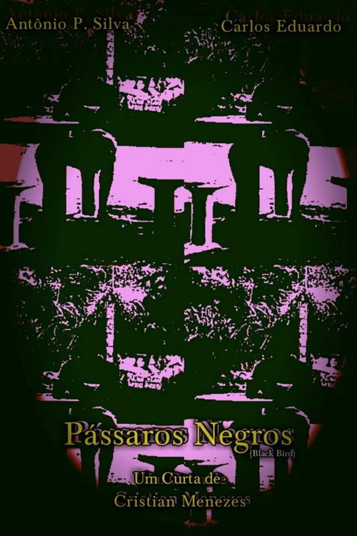 Cartell de Pássaros Negros