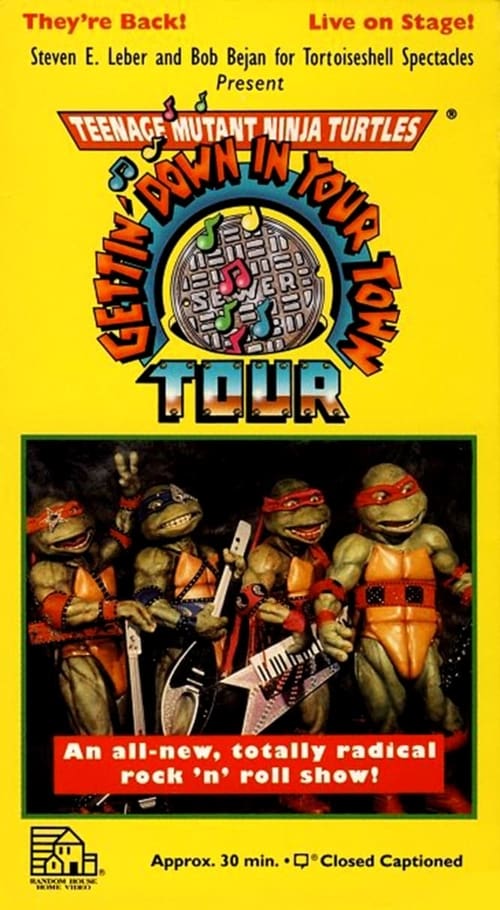 Teenage Mutant Ninja Turtles: Getting Down In Your Town 1992