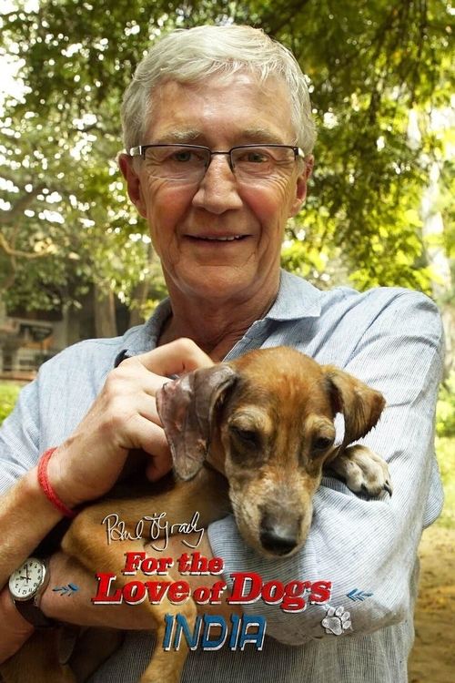 Poster Paul O'Grady: For the Love of Dogs - India