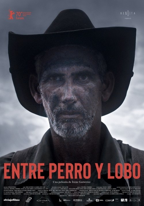 Entre perro y lobo 2020