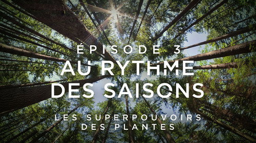 Image Au rythme des saisons