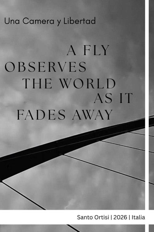 A fly observes the world as it fades away