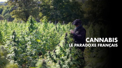 Кадр из Cannabis, un paradoxe français