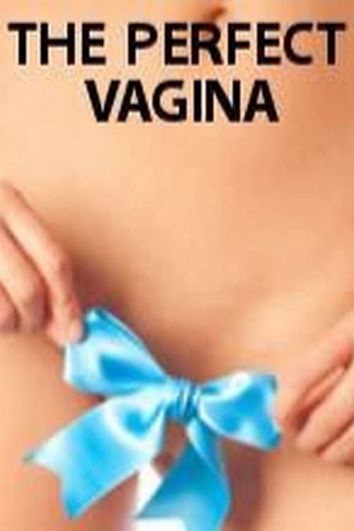 The Perfect Vagina (2008) poster