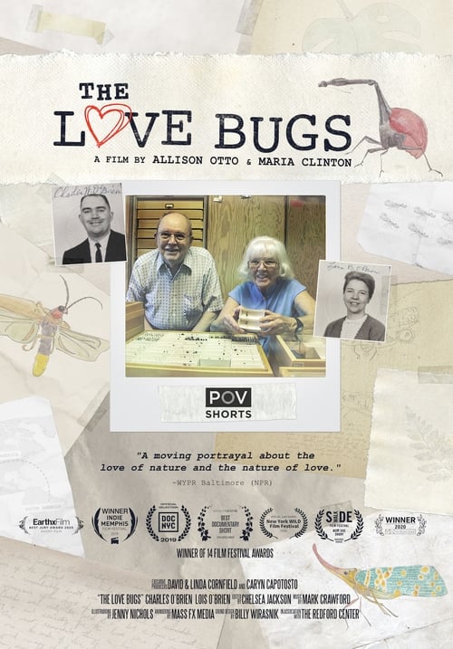The Love Bugs (2019)