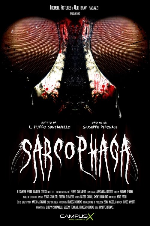 Sarcophaga poster