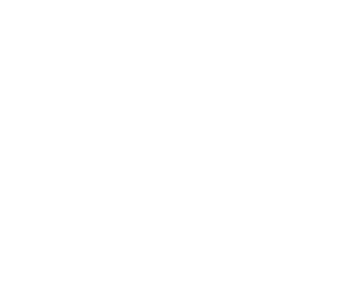 Million Dollar Pigeons