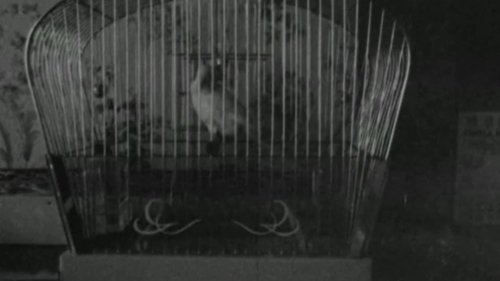 S.O.S. Fonske image 1