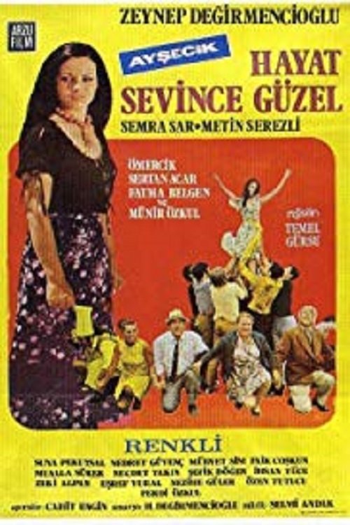 Hayat Sevince Güzel 1971